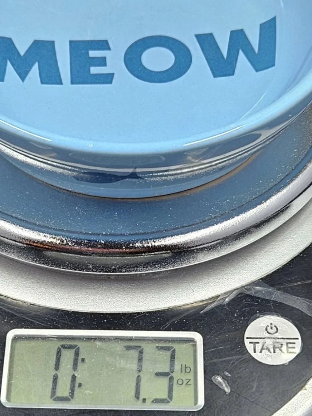 Whisker City Blue Meow Bowl